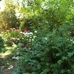 Villa Ghia Appartamento